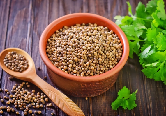 Coriander - FK Global Exports